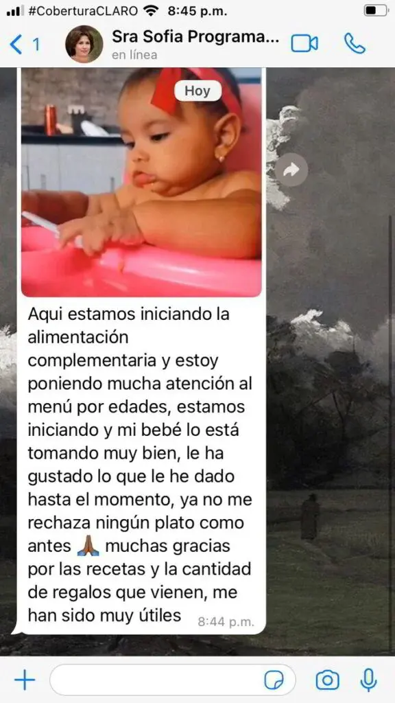 Testimonio de Sofía: su bebé ya no rechaza ningún plato